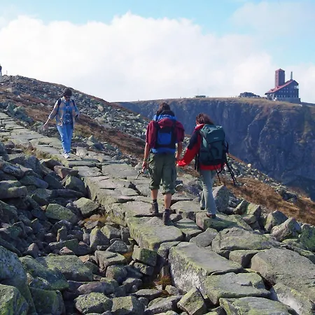 Interferie Sport Bornit